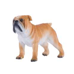 �u���h�b�O